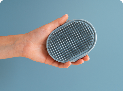 PROBLÈME 2 — BROSSES EN PLASTIQUE OU EN SILICONE